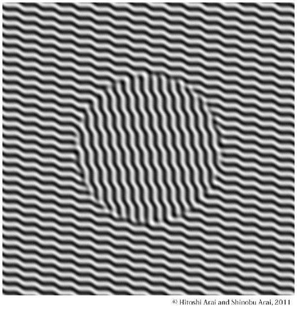 Mathematical Analysis of Ouchi illusion 6